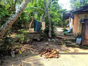 Land for Sale in Veyangoda