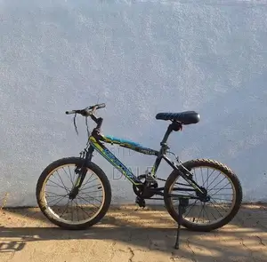 Kids Mountain Bike