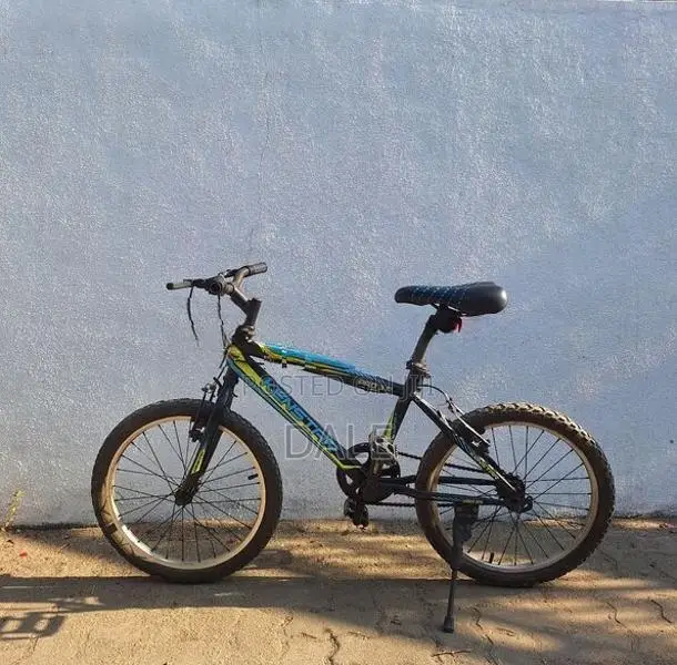Kids Mountain Bike