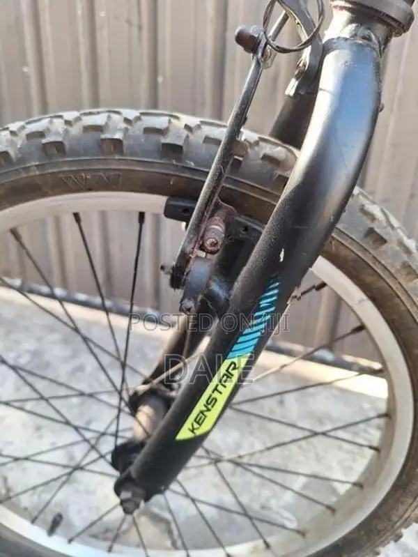 Kids Mountain Bike