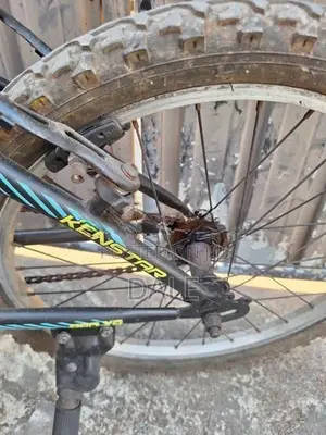 Kids Mountain Bike
