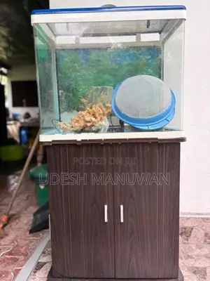 Imported Fish Tank
