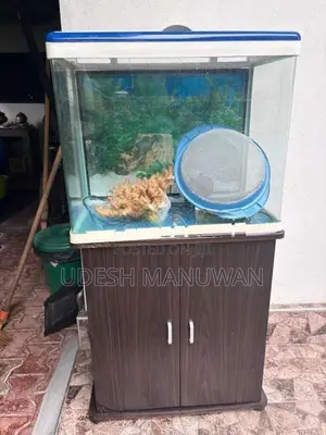 Imported Fish Tank