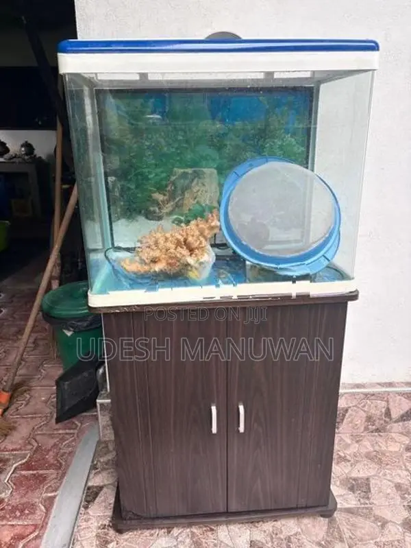 Imported Fish Tank