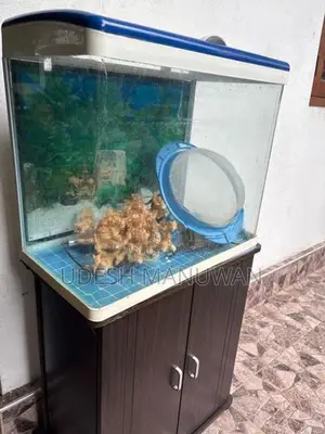 Imported Fish Tank