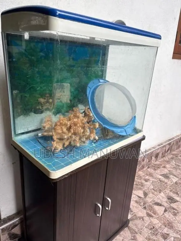 Imported Fish Tank