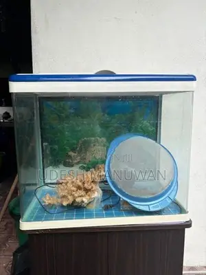 Imported Fish Tank