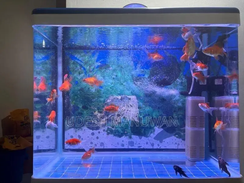 Imported Fish Tank