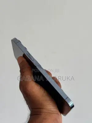 Apple iPhone 13 Pro Max (Used)