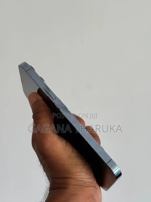 Apple iPhone 13 Pro Max (Used)