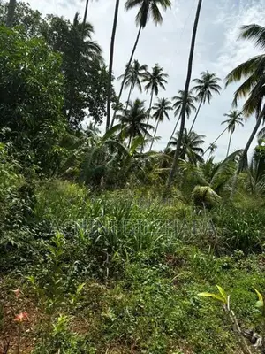 Land for Sale Monaragala,Buttala