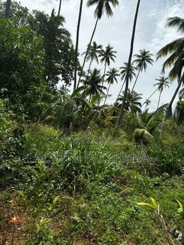 Land for Sale Monaragala,Buttala