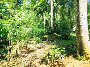 ඇහැලියගොඩ - දෙහිඕවිට ප්‍රධාන මාර්ගයට මුහුණලා ඉඩමක් විකිණීමට