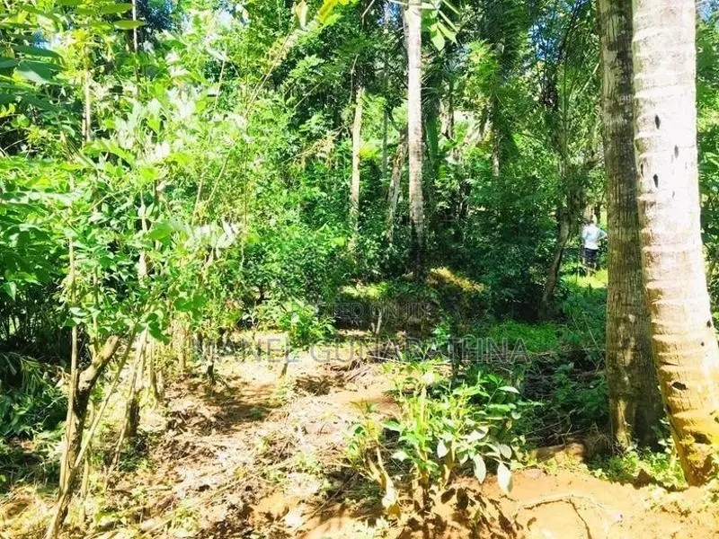 ඇහැලියගොඩ - දෙහිඕවිට ප්‍රධාන මාර්ගයට මුහුණලා ඉඩමක් විකිණීමට
