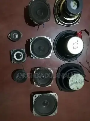 Speaker Parts