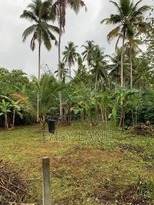 Land for Sale in Giriulla