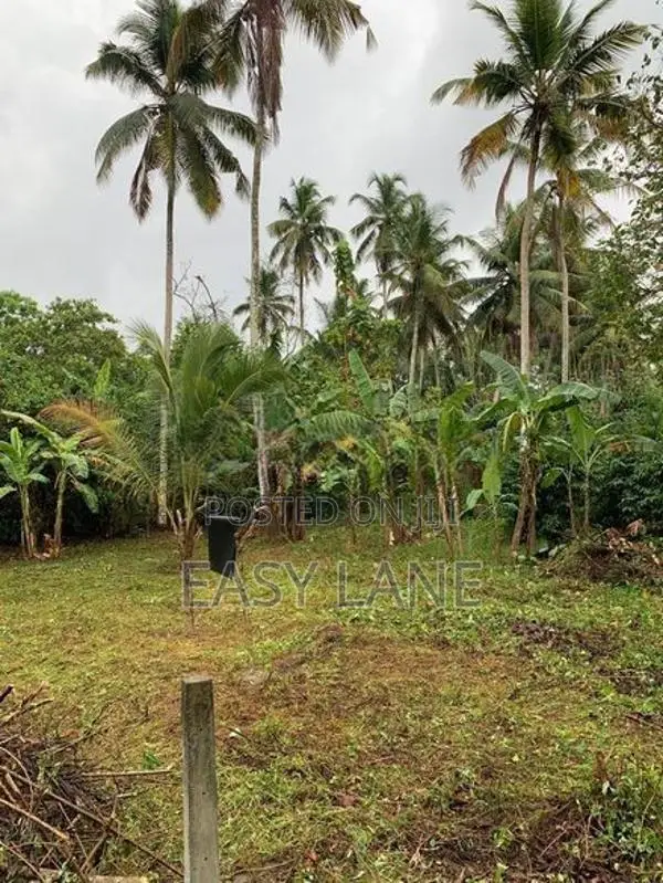 Land for Sale in Giriulla