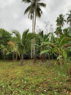 Land for Sale in Giriulla