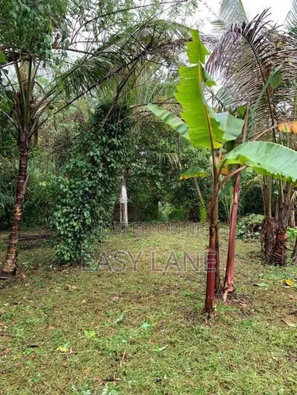 Land for Sale in Giriulla