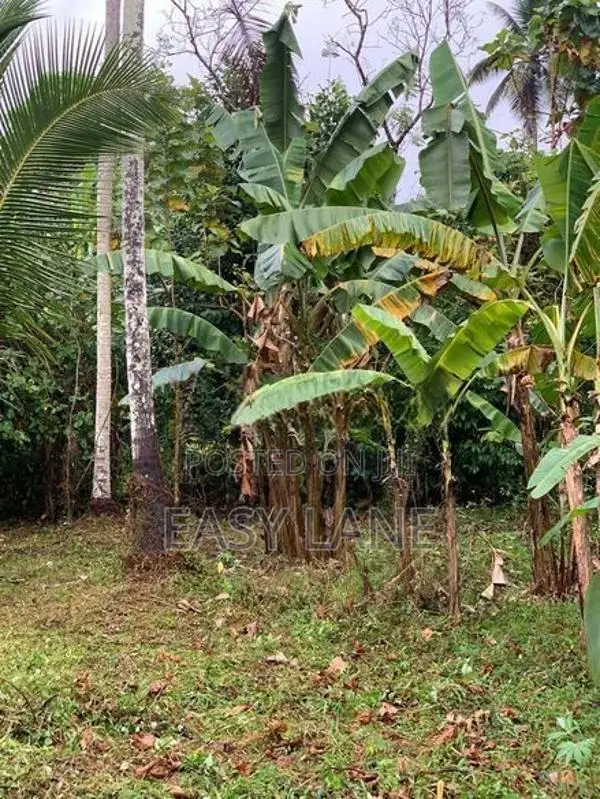 Land for Sale in Giriulla