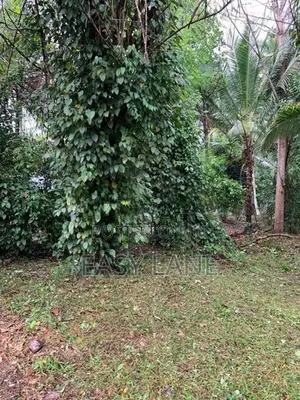 Land for Sale in Giriulla