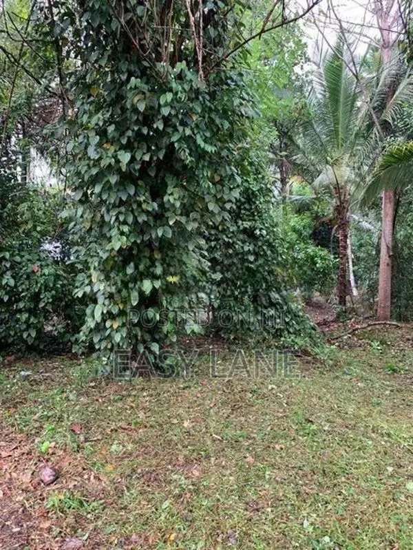 Land for Sale in Giriulla