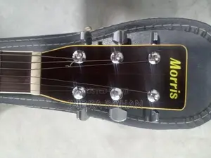 Morris Guitar