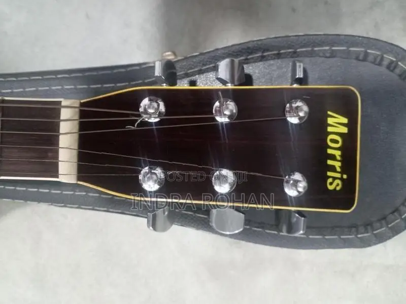 Morris Guitar