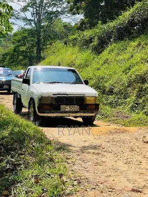 Nissan D21 Single Cab 1991