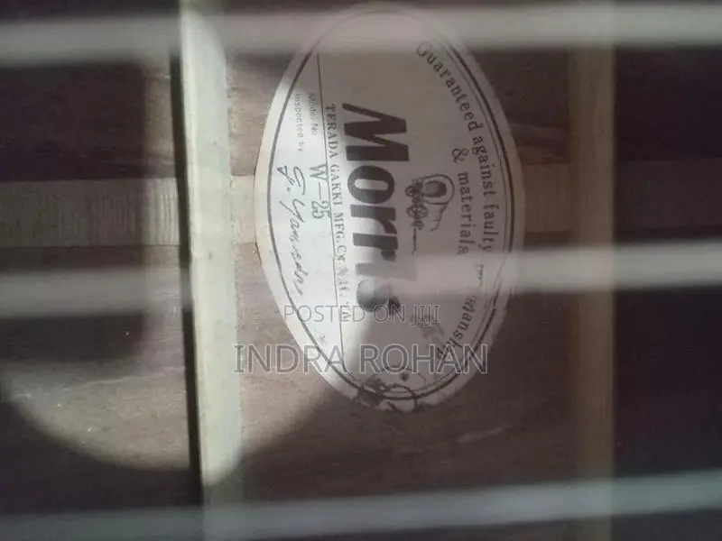 Morris Guitar