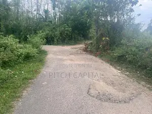 Land for Sale - Artigala