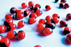 Olinda Seeds