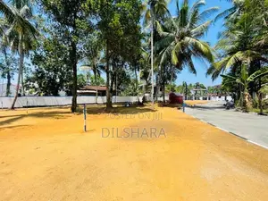 Wattala Best Land for Sale