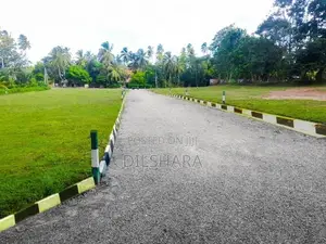 Beliatta Next Level Land for Sale