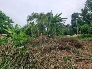 Land for Sale in Mirigama