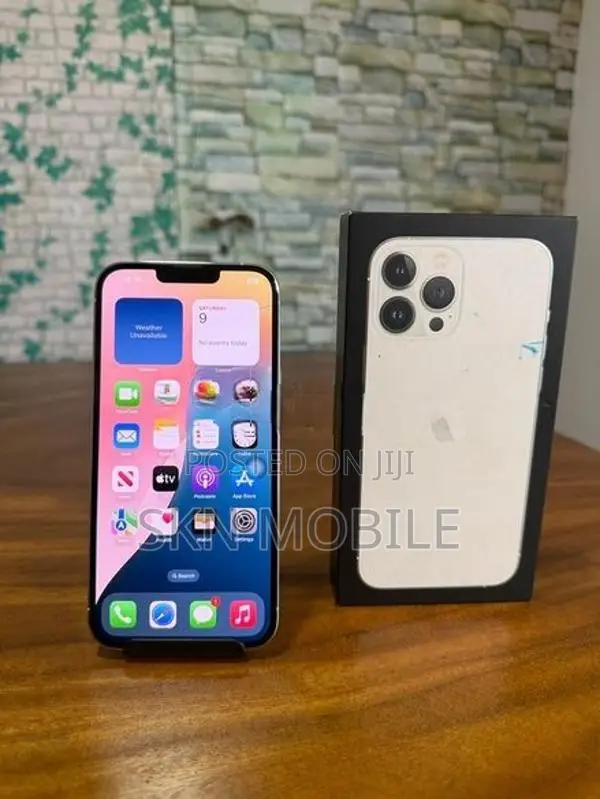 Apple iPhone 13 Pro Max 256GB (Used)