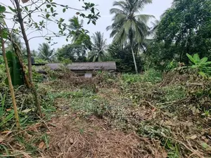 Land for Sale in Mirigama