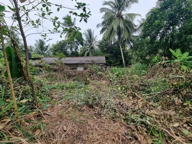 Land for Sale in Mirigama