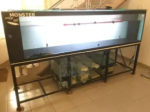 Fish Tank