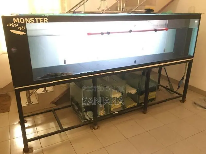 Fish Tank
