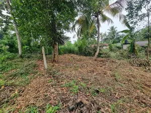 Land for Sale in Mirigama