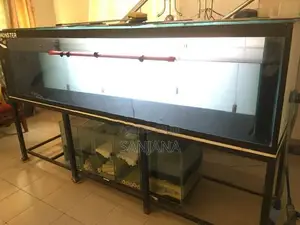 Fish Tank
