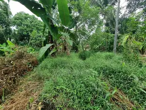 Land for Sale in Mirigama