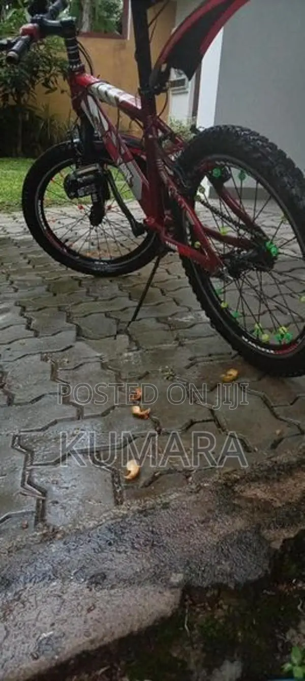 Tomahawk bike