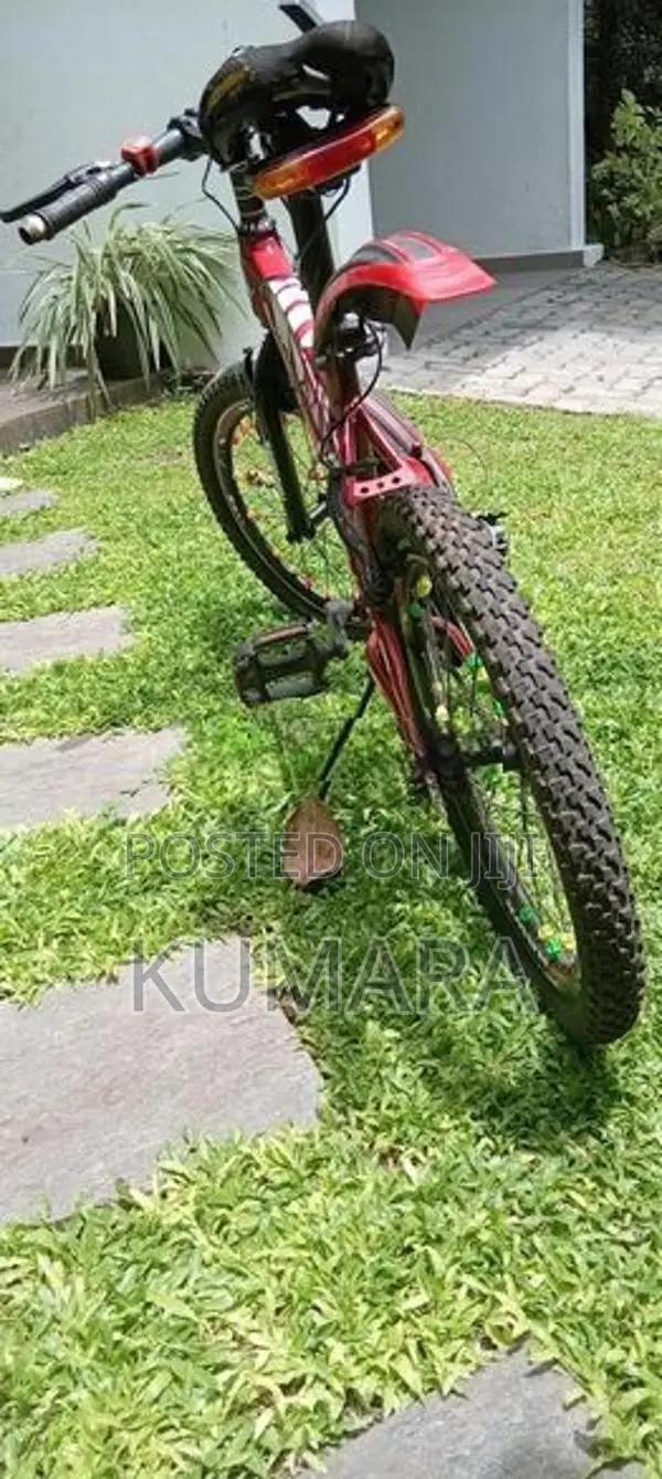 Tomahawk bike