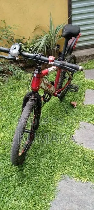 Tomahawk bike