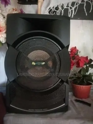 Sony Speaker Set
