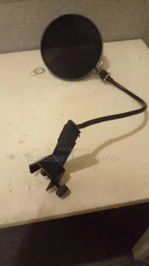 Pop Filter Mic