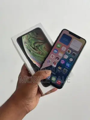 Apple iPhone XS Max 64GB (Used)