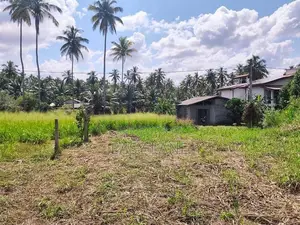 Land for Sale in Veyangoda
